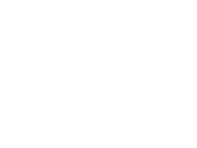 Hidecor